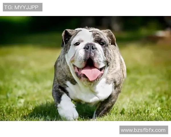 足球明星手握水杯搞笑瞬间引发全场欢笑趣事分享